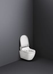 ������-���� GEBERIT AquaClean TumaComfort ���������, ������ ����� ������ 146.294.SI.1