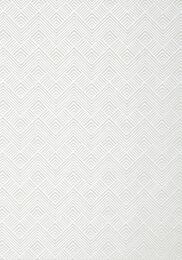 ���� �������� Thibaut Paramount (0,52�10,06) ����� T2992 (�����)