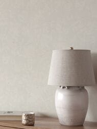 ���� ��������� �� ��������� Erismann Gentle ER12210-01 (1,06�10,05) ����� (���.)