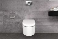 GEBERIT Delta 11 ������� �����, ����/����, �������, ���� ������� (��� UP172, UP182) 115.120.46.1