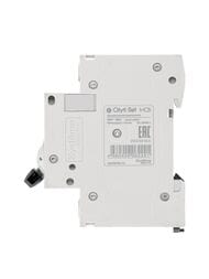 Выключатель Systeme Electric автоматический двухполюсный 20А С 4.5kA City9 Set C9F34220