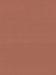 ���� ��������� �� ��������� Rasch Allegretto (0.53x10.05) ���������, ���������� 692730 (���.)
