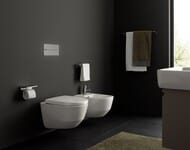 ������ ��������� Laufen PRO 8.2095.6.000.000.1 (360�530�430) � �������� ���������
