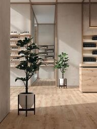 Керамогранитная плитка Atlas Concorde Exence Vanilla (200х1200) светло-бежевая, AO47 (кв.м.)
