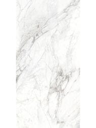 ��������������� ������ Delacora ������ (600x1200) D120242M (��.�)