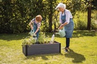 �����-������ KETER MAPLE TROUGH (106x50x32 ) �����