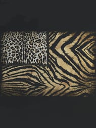 ����� ��������� �� ��������� ROBERTO CAVALLI Home 8 (3,0�4,0)����,������� 19101 (�����-4�����) (��.)