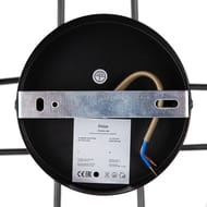 Люстра Freya Floristic (Флористик) FR5328CL-08B, IP20,черный