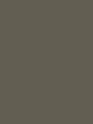Обои флизелиновые Hygge V Nature Hg40 005/1 (1,00х10,05) серые (рул.)