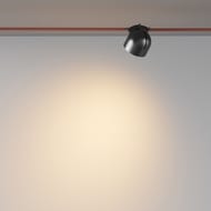��������� ���������� Maytoni Cup (���) TR124B-12W3K-B Parity 3000K 12�� 120� ������, IP20