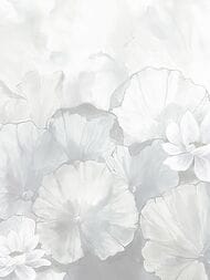 ����� Zambaiti Satin Flowers IV (3,0�5,1) ����� �� ���������, ������- �����, Z66874  (���.)