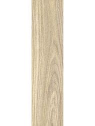��������������� ������ New Trend ����� (151x602) GP1560ASP21 (��.�)