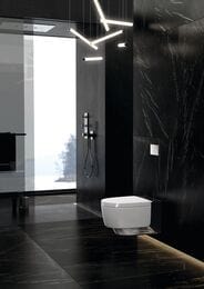 ������-���� GEBERIT AquaClean MeraComfort ���������, �����+����   146.214.21.1