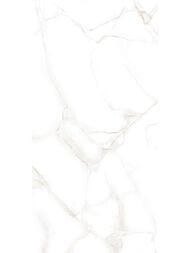 ������ ��������� New Trend ����� (249x500) WT9DOV01 (��.�)