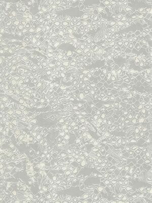 ���� ��������� �� ��������� ROBERTO CAVALLI Home 8 (1,06�10,05) �����, ����� 19034 (���.)