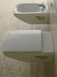 Сиденье для унитаза DURAVIT CARO 0065690094 с микролифтом, петли из нержавеющей стали, цвет: белый