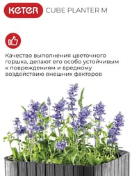 ����� KETER CUBE PLANTER M 50.5 � (40x40x40), ��������
