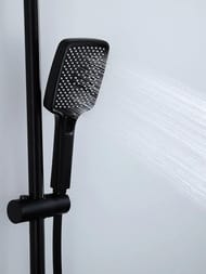 ������� ������� � ���������� �������, ������ � ������� ����� , FRAP ������, F24202-6