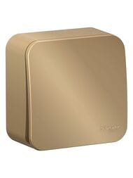 Выключатель Systeme Electric BLANCA 1-клавишный наруж. cх.1 изол.пл., 10A 250B, титан BLNVA101014