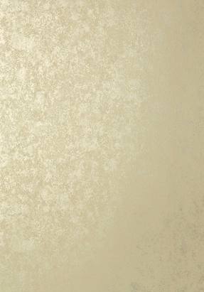 ���� ��������� �� ��������� Thibaut Texture Resource V (0,686�8,23) ������� T57165 (�����)