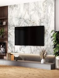 ��������������� ������ LCM ������ (600x1200) 60120SUS15P (��.�)