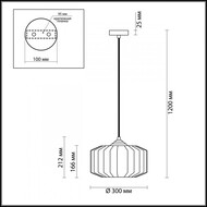 ��������� ���������� Odeon Light 4746/1, ������