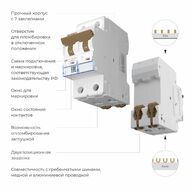 Автоматический выключатель 2P 63 A C 4,5 кА Werkel W902P634