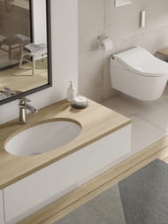 �������� ������������ TOTO WU (590�380�207) ��� ���.��� ���������, � ���������, ����� LW1506JUYW/F#W