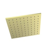 Верхний душ Paini квадратный, 250 мм, без держателя, золото брашированное 50PJ759QQ25