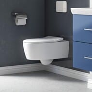 ������� ��� ������� Villeroy & Boch Avento 9M87S101 � �����������