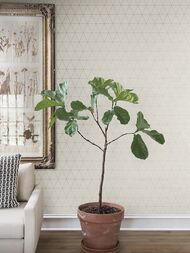 Обои виниловые на флизелине Magnolia Home Contract (1,37х1,00) салатовые MAG 1084 (ярл.)