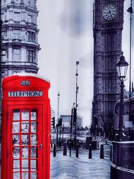 �������� ����� ��� ������ ������� RIDDER Telephone Box �����+������� 180�200 42223000