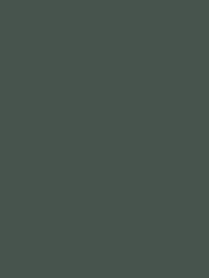 Обои флизелиновые LOYMINA Materials LOT1 136 (1х10,05) моноколор, зеленые (рул.)