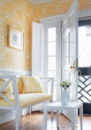 ���� �������� Thibaut Tropics (0,69�8,22) ������ T10086 (�����)