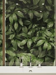 ����������� ������ �lumoart Botanical Garden Flora (1200�3000) �������, ������� �-1.8.1 (��.�.)