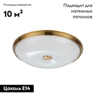 ��������-���������� ���������� Odeon Light Pelow 4956/5, ������