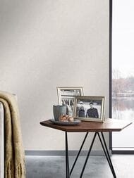 ���� ��������� �� ��������� Erismann Gentle ER12207-39 (1,06�10,05) ������� (���.)