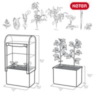 ������-������� KETER Maple green house (99x58x185) �����