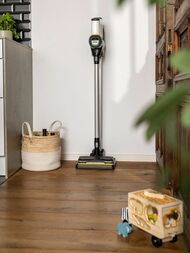 ������� KARCHER VC 6 Cordless ourFamily Pet, 11986730