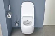 ������ ��������� Vitra V-Care Comfort � ��������,�������������. ����.,� �������� ���� 5674B003-6194