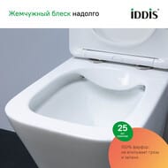 ����������� � ��������� �������� IDDIS Basic ������� � �����������, ������� ����� BASBI02i73