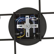 Потолочный светильник Lumion Comfi Agnia 8304/6C, черный