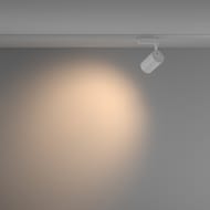 �������� ���������� Maytoni Vuoro (�����) TR003-1-26W3K-W-W Unity 3000K 26�� 60�, IP20, �����