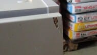 Уценка! Тумба под раковину AM.PM Gem напольная (760х420х810) 2 ящика, цвет: белый глянец M90FSX075 - уценка. — изображение 2