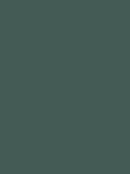 Обои флизелиновые Hygge Hg7 006/2 (1,00х10,05) зеленые (рул.)