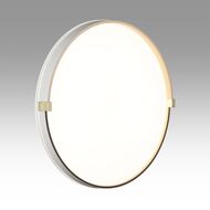 Настенно-потолочный светильник Sonex Pale Olidi White 7646/ELN, белый