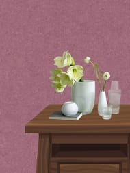 ���� ��������� �� ��������� Erismann Gentle ER12207-06  (1,06�10,05) ���������� (���.)
