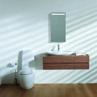 ���� �������-�������� Laufen ILBAGNOALESSI ONE 8.2297.6.400.000.1 (720�390) ������������� ������