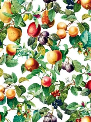 ���� ��������� �� ��������� Marburg Gloockler Pompoos Provence 35632 (0,53�10,05) ������������ (���)