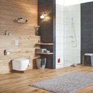������ Grohe Euro Ceramic 39206000 ��������� (374�316�490) ����������, ������������